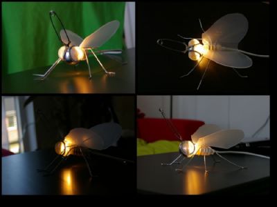 Insekt lampe
